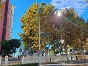 Apartamento en venta en Benidorm, Playa Levante....