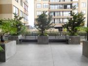 Apartamento En Venta En Cajica En Cajica Entrada Cajica...