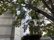 Apartamento en Venta en Caurimare, Caracas