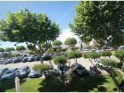 Apartamento en Venta en Empuriabrava, Girona