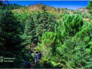 Apartamento en Venta en Estepona, Málaga