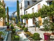 apartamento en Venta en Estepona. ZFID T249