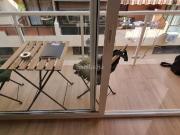 Apartamento en venta en Fuengirola, Playa de los...