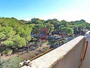 Apartamento en venta en Guardamar del Segura, Alicante...