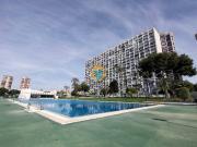 Apartamento en Venta en Juzgados Plaza de Toros Apartamento en Venta en Juzgados Plaza de Toros