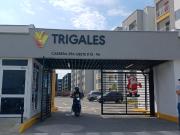 apartamento en venta en poblado campestre. Cod V116864