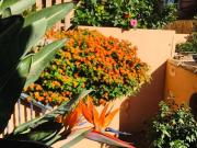 Apartamento en venta en Riviera del Sol, Málaga Costa...