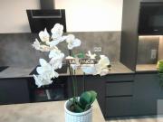 Apartamento en Venta en Salesas Foncalada Campoamor