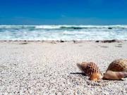 Apartamento en Venta en Santangelo