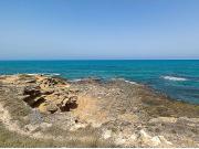 Apartamento en Venta en Torrevieja, Alicante