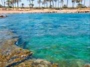 Apartamento en venta en Torrevieja, Punta Prima....