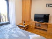 Apartamento entero de 1 habitaciones en Madrid