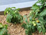 Apartamento T2, Faro Sé e São Pedro, Faro | BPI Expresso...