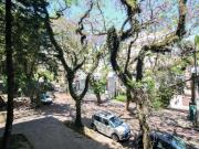 APARTAMENTO FINAMENTE REFORMADO NA MELHOR RUA DO...