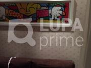 APARTAMENTO FREGUESIA DO Ó