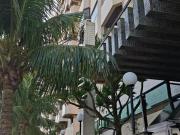 Apartamento frente mar com vista livre!