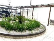 Apartamento Garden 03 Dormitórios no Bairro São Marcos...