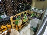Apartamento, Jardim Celeste São Paulo