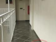 Apartamento Jardim Santa Terezinha Zona Leste São Paulo