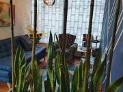 Apartamento Las Américas ID: 147107s