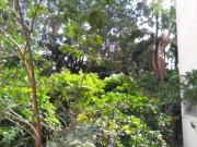 Apartamento locaÃ§Ã£o Freguesia do Ã 3 quartos a 200 mts...