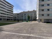 Apartamento, Lordelo do Ouro e Massarelos