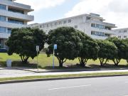 Apartamento, Matosinhos e Leça da Palmeira