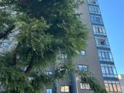 Apartamento, Matosinhos e Leça Da Palmeira, Matosinhos |...