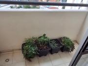 Apartamento mobiliado 2 quartos no Butantã FL35