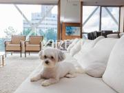 APARTAMENTO MOBILIADO À VENDA 04 SUÍTES CAMPINA DO SIQUEIRA APARTAMENTO MOBILIADO À VENDA 04 SUÍTES CAMPINA DO SIQUEIRA