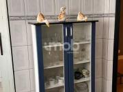 Apartamento Mobiliado Para Locação Parque Campolim...