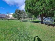 Apartamento, Montijo e Afonsoeiro