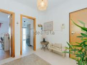 Apartamento, Montijo e Afonsoeiro