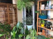 Apartamento na Vila Romana