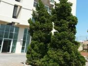 APARTAMENTO NO CAMPOLIM