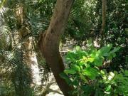 Apartamento no Condomínio das Camelias na Vila Erna com...