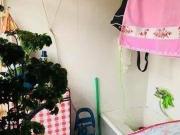 Apartamento no Condomínio Nova Esperança