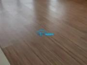 Apartamento PadrÃ£o para LocaÃ§Ã£o, 1 dorm s, 1 vaga s,...