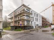 Apartamento, Palmeira