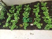 Apartamento para alugar, 100 m² por R$ 6.200,97/mês Vila...