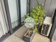 Apartamento para alugar, 35 mÂ² Mobiliado no bairro da...