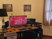 Apartamento para aluguel 3 quartos Floresta
