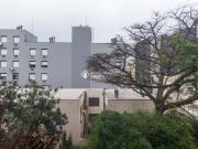 Apartamento para aluguel com 115 metros quadrados com 3...
