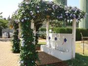 Apartamento para aluguel com 2 quartos e 1 vaga de...