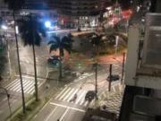 Apartamento para Aluguel com 3 quartos, 123 m² por R$ 4.600