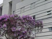 Apartamento para Locação em Belo Horizonte/MG Buritis 3...