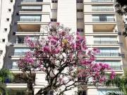 Apartamento para Locação em Campinas/SP Cambuí 3 Quartos