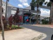 Apartamento para Locação em Campinas/SP Jardim...
