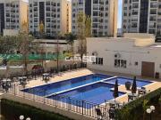 Apartamento para Locação em Campinas/SP Swiss Park 2 Quartos Apartamento para Locação em Campinas/SP Swiss Park 2 Quartos