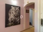 Apartamento para Locação em Curitiba/PR Centro 2 Quartos